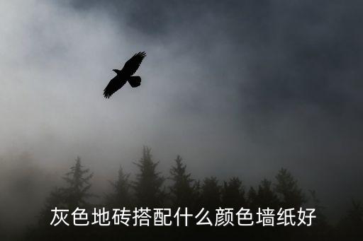  灰色地砖搭配什么颜色墙纸好