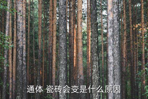 通体 瓷砖会变是什么原因