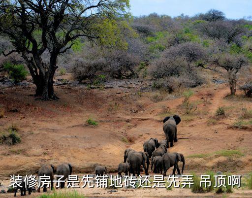 装修房子是先铺地砖还是先弄 吊顶啊