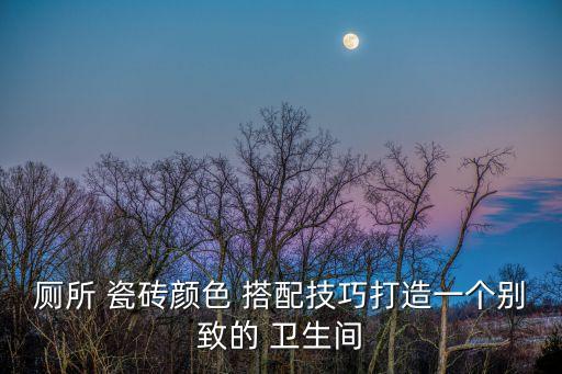 厕所 瓷砖颜色 搭配技巧打造一个别致的 卫生间
