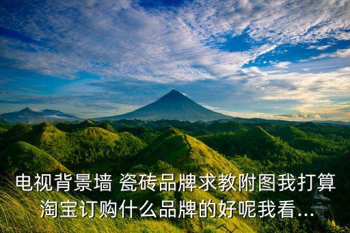 电视背景墙 瓷砖品牌求教附图我打算 淘宝订购什么品牌的好呢我看...
