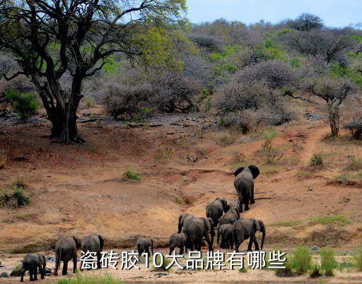 沈阳瓷砖胶泥品牌排行,瓷砖专用胶泥品牌
