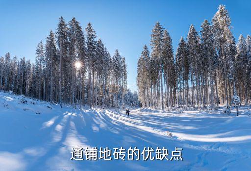婴儿浴室瓷砖通铺卫生间