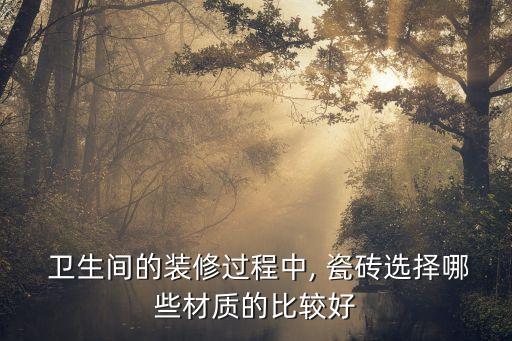  卫生间的装修过程中, 瓷砖选择哪些材质的比较好