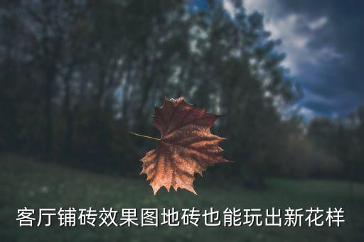 客厅铺砖效果图地砖也能玩出新花样