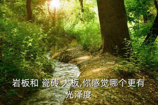 岩板和 瓷砖 大板,你感觉哪个更有光泽度
