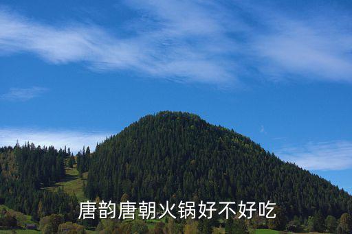  唐韵唐朝火锅好不好吃