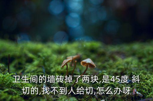 卫生间的墙砖掉了两块,是45度 斜切的,找不到人给切,怎么办呀