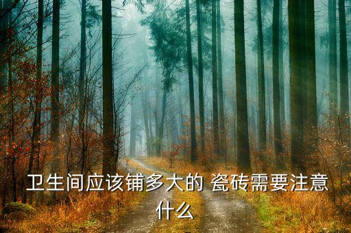  卫生间应该铺多大的 瓷砖需要注意什么