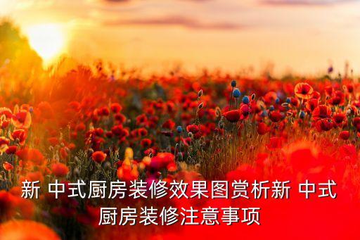 新 中式厨房装修效果图赏析新 中式厨房装修注意事项