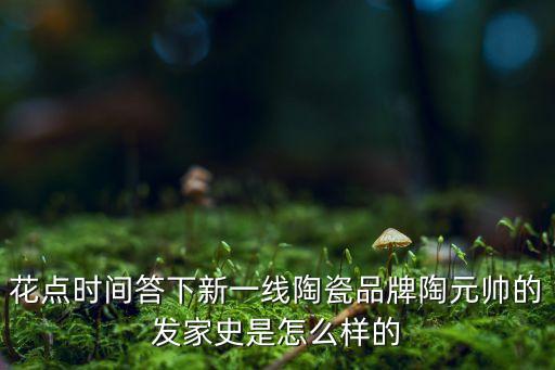 海口进口除臭瓷砖品牌