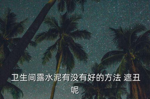 卫生间露水泥有没有好的方法 遮丑呢