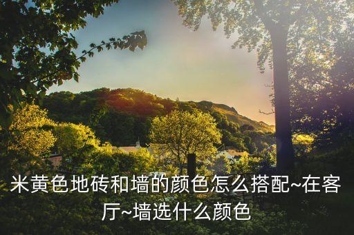 米黄色地砖和墙的颜色怎么搭配~在客厅~墙选什么颜色