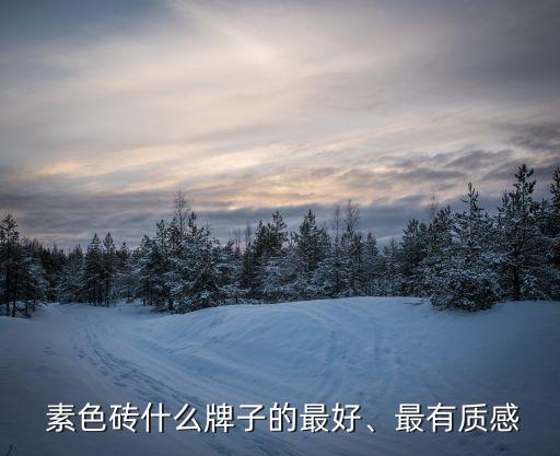  素色砖什么牌子的最好、最有质感