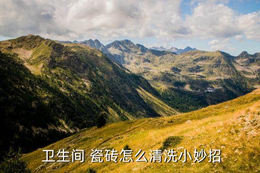  卫生间 瓷砖怎么清洗小妙招