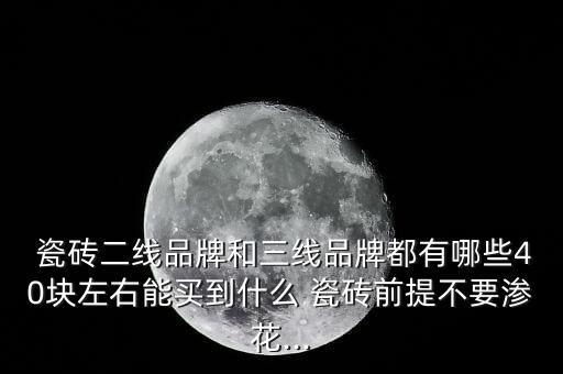  瓷砖二线品牌和三线品牌都有哪些40块左右能买到什么 瓷砖前提不要渗花...