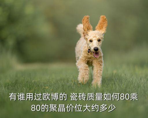 有谁用过欧博的 瓷砖质量如何80乘80的聚晶价位大约多少