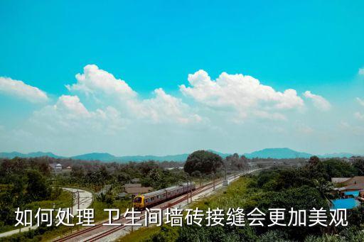 如何处理 卫生间墙砖接缝会更加美观