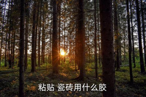 瓷砖填缝剂用水还是胶水,雨虹瓷砖填缝剂T200用水比例