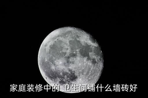 家庭装修中的 卫生间铺什么墙砖好