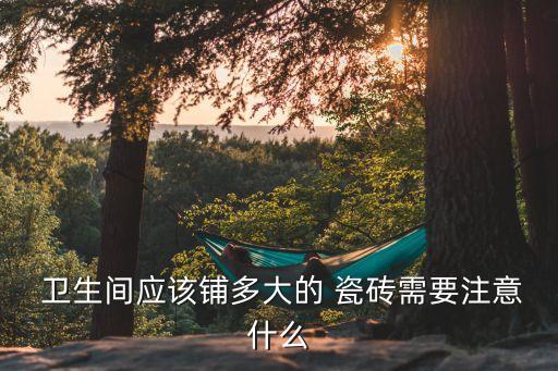 卫生间应该铺多大的 瓷砖需要注意什么
