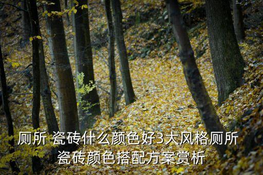 厕所 瓷砖什么颜色好3大风格厕所 瓷砖颜色搭配方案赏析