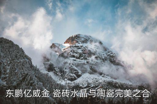 东鹏亿威金 瓷砖水晶与陶瓷完美之合