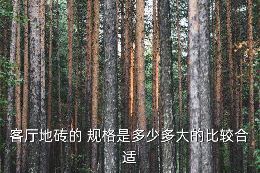 客厅地砖的 规格是多少多大的比较合适