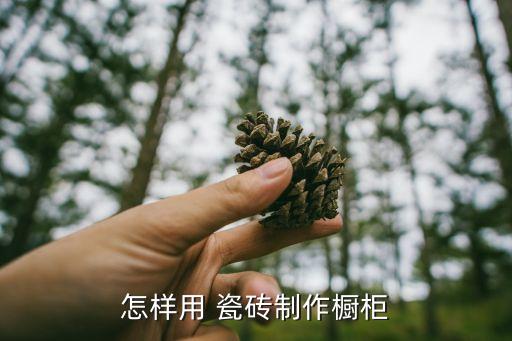 瓷砖厨柜分层图片效果图,瓷砖墙壁吊厨柜图片