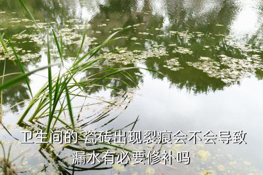  卫生间的 瓷砖出现裂痕会不会导致漏水有必要修补吗