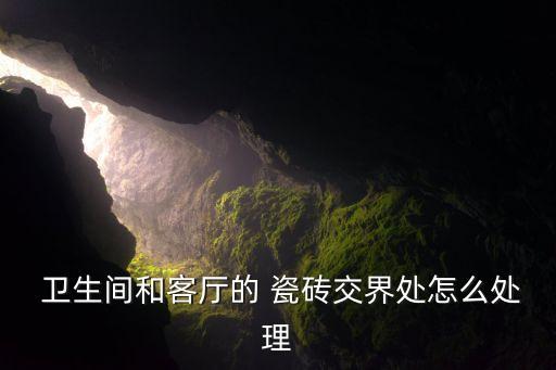  卫生间和客厅的 瓷砖交界处怎么处理
