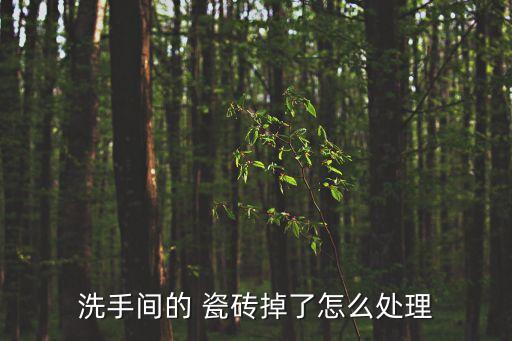 洗手间的 瓷砖掉了怎么处理