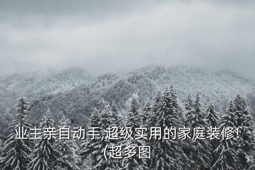 业主亲自动手,超级实用的家庭装修!(超多图
