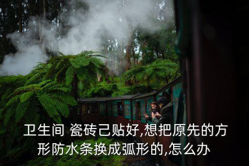  卫生间 瓷砖己贴好,想把原先的方形防水条换成弧形的,怎么办