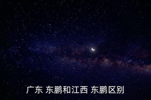 广东 东鹏和江西 东鹏区别