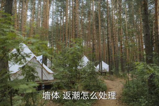 墙体 返潮怎么处理