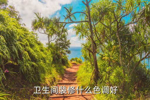卫生间设计粉色瓷砖好看吗,客厅卫生间通铺一种瓷砖好看吗