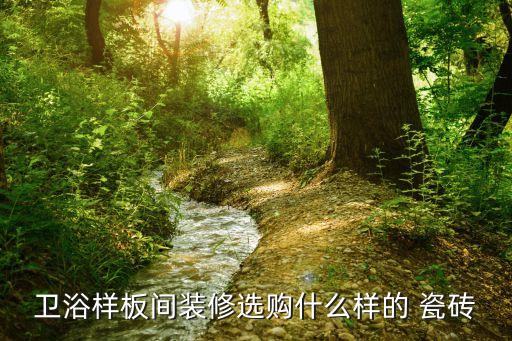 卫生间瓷砖作品