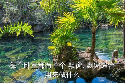 每个卧室都有一个 飘窗, 飘窗适合用来做什么