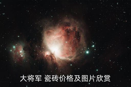大将军 瓷砖价格及图片欣赏