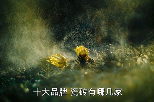  十大品牌 瓷砖有哪几家
