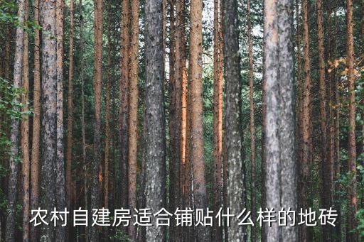 农村室内瓷砖效果图大全,农村别墅外墙瓷砖效果图大全