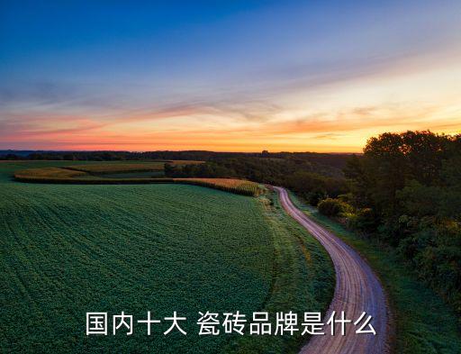 国内十大 瓷砖品牌是什么