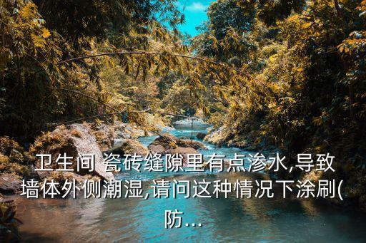  卫生间 瓷砖缝隙里有点渗水,导致墙体外侧潮湿,请问这种情况下涂刷(防...