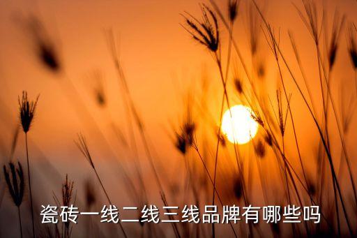天维瓷砖是几线品牌,天伟瓷砖是几线品牌