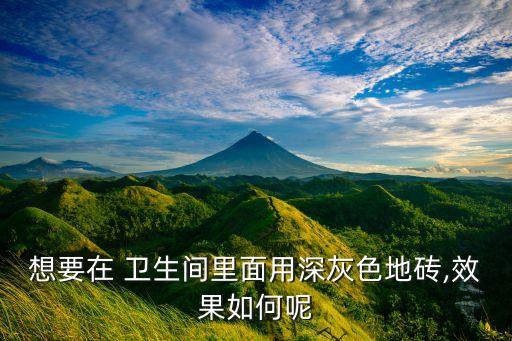 想要在 卫生间里面用深灰色地砖,效果如何呢