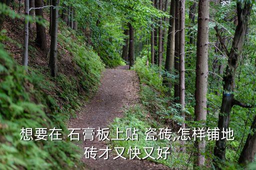 想要在 石膏板上贴 瓷砖,怎样铺地砖才又快又好