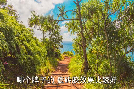 河南瓷砖胶什么品牌好点,瓷砖美缝胶什么品牌的好