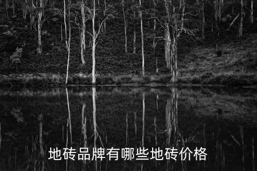 地砖品牌有哪些地砖价格