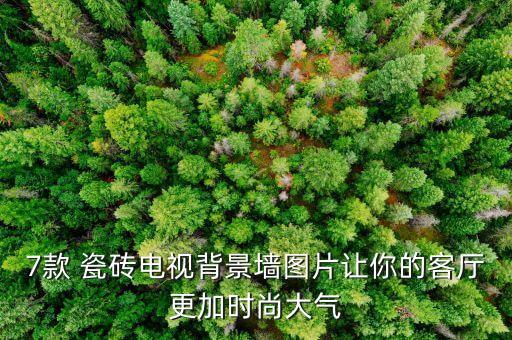 7款 瓷砖电视背景墙图片让你的客厅更加时尚大气